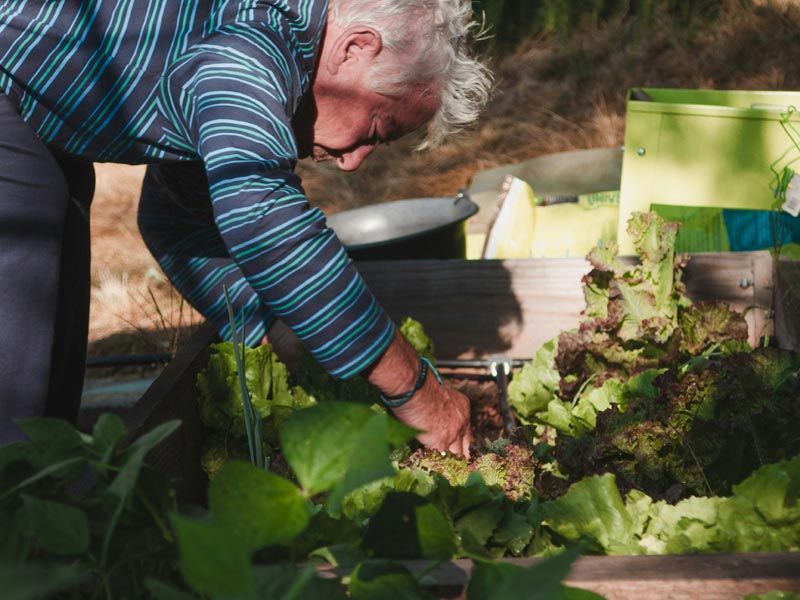 u3a Interest Groups Online