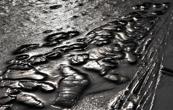 'Pond ice' by Peter Ive of Edenbridge u3a