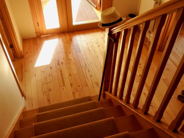 Going out? by Dianne Murray of East Lothian u3a