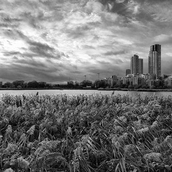 'Urban wetlands' by Martin Goldman of North London u3a
