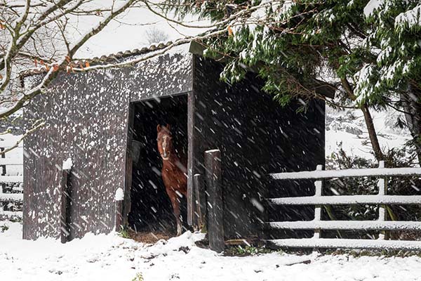 'Staying put' by Barbara Lansdell of Todmorden u3a