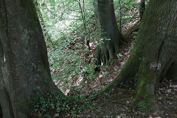 'Terrain' by Isabella Chatterjee of Crawley U3A