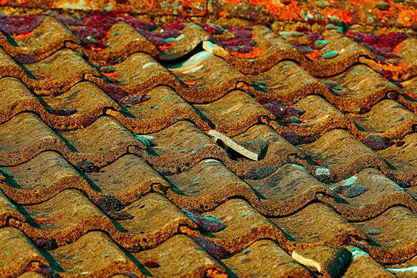 'Tiles' by Terry Waldron of Spire U3A