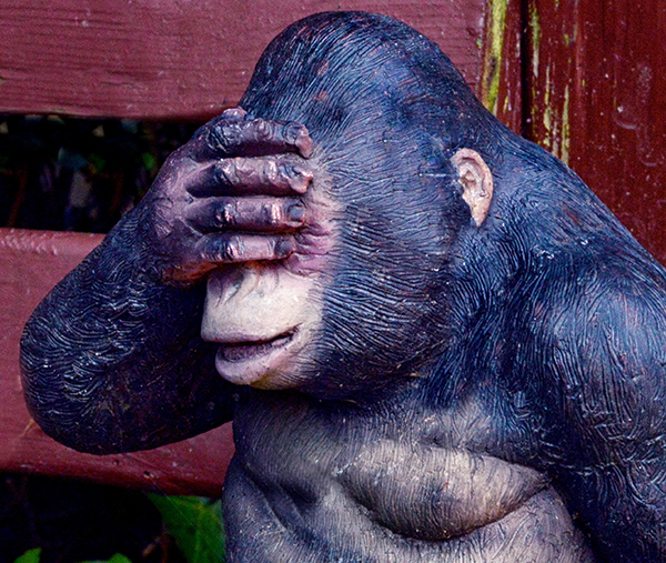 'Oh my!' by Frank Hill of Castle Bromwich U3A