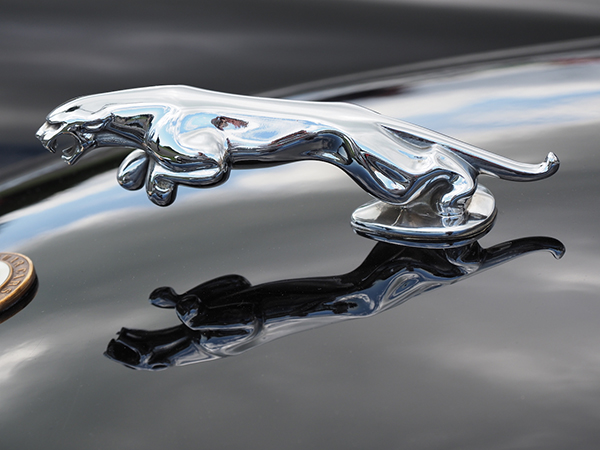 'Jaguar' by Graham Wood of Sidcup & District U3A