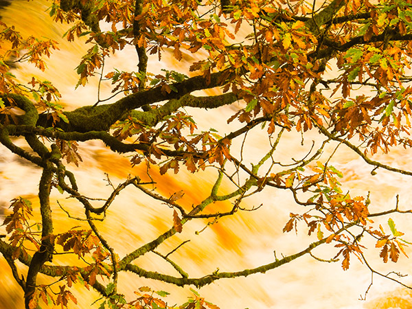 'Waterfall' by Jane Thomson of Lanark & District U3A