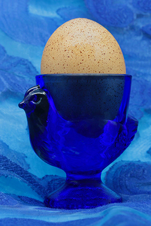 'Blue Breakfast' by Jonathan Bye of Sutton Bridge U3A