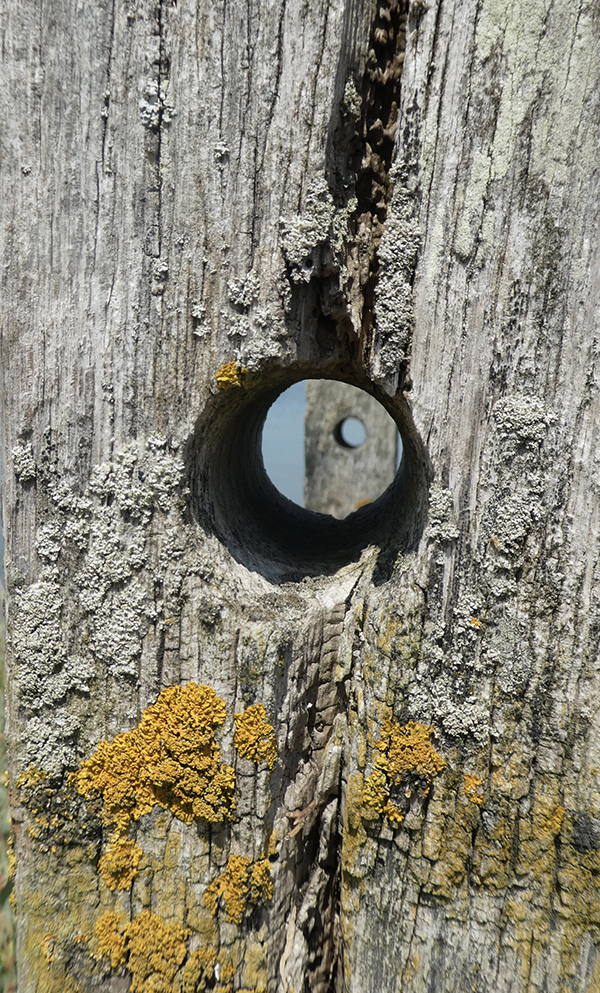 'Hole' by Angela Stephens of Fleet & District U3A