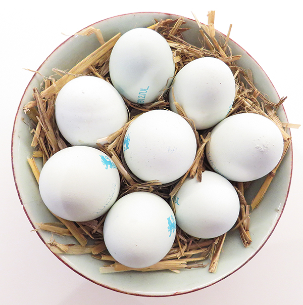 'Eggs' by John Harris of Hartley Wintney & District U3A