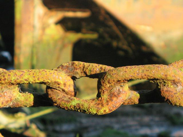 'Strong Links' by Chris Adams of Stubbington U3A