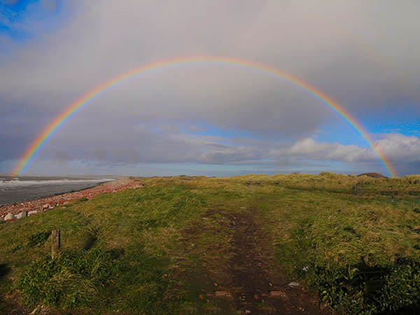 'Rainbow' by Alan Corkish of Orrell Park and District u3a