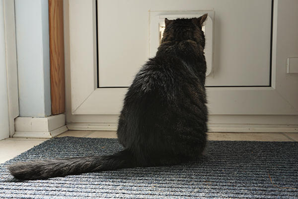 "Inside or outside - decision time" by Bob Douglas of Edinburgh U3A