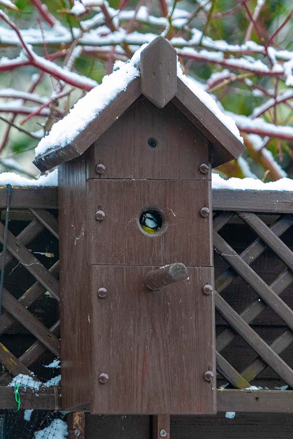 '5 star review' by Brian Snelson of Hockley & Hawkwell u3a