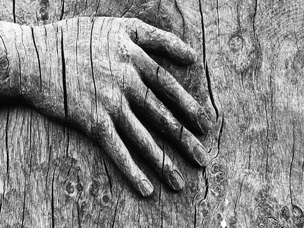 'Tree Hugger' by John Pearson of Dumfries u3a