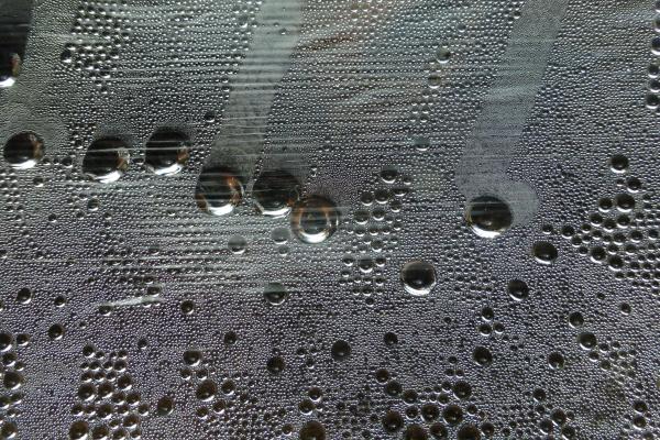 'Seeds' by Irene Lavery of Edinburgh u3a