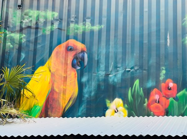 'Jungle in Digbeth' by Angela Reid of Balsall Common u3a