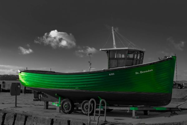 'See Green' by Brian Moore of Belfast u3a