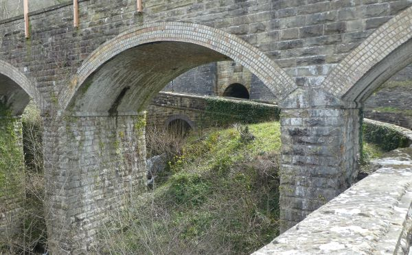 'Bridge Jungle' by Gillian Edwards of Wrexham u3a