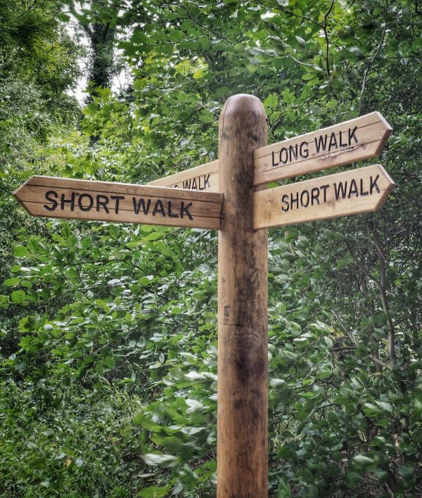 'Choices' by Jill Robertson of Sutton Coldfield u3a