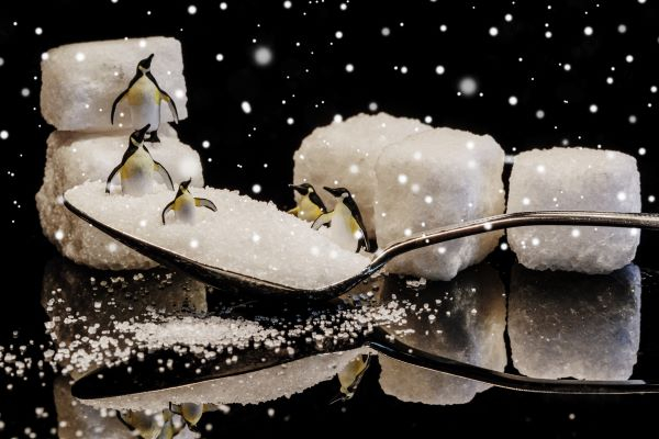 'Pesky Penguins' by Brendan Gillan of Ballymoney u3a