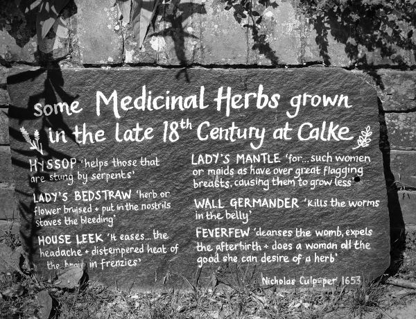 'Remedies' by Bob Robertson of Sutton Coldfield u3a